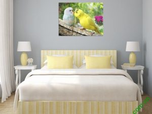 Tranh treo tường phòng ngủ hiện đại Đôi chim Vẹt Amia 350-01