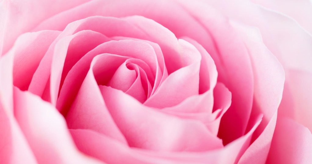 Top hơn 92 ảnh màu hồng đẹp hay nhất - Tin Học Vui